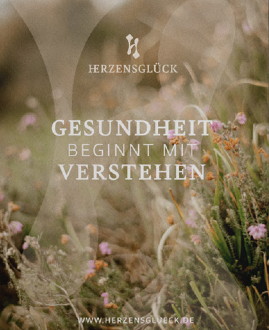 Der Darm — mehr als nur Verdauung